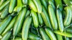 Marketlerde satılan salatalıklarda salmonella tehlikesi! Raflardan toplatılıyor