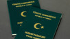 Yeşil pasaportta yeni dönem: 6 meslek grubu için teklif verildi