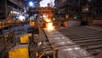 Tosyalı Holding çelik devinin fabrikasını almaktan vazgeçti