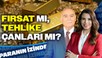 Altında Fırsat mı, Tehlike Çanları mı? | Süheyla Yılmaz ile Paranın İzinde | Mehmet Ali Yıldırımtürk