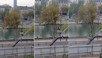 Louvre Müzesi'ndeki hırsızlık ve soyguncuların kaçma anı ortaya çıktı (Video)