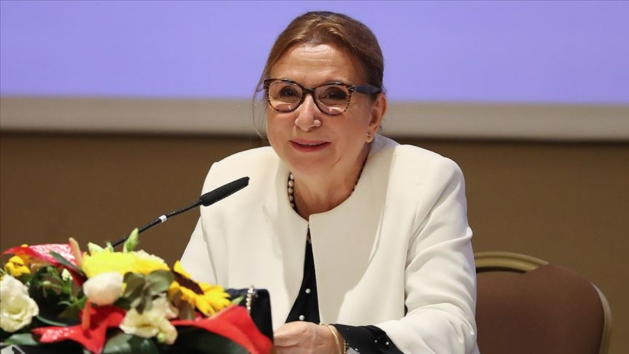 Ticaret Bakanı Pekcan: Daha fazla yabancı yatırım öncelik olmaya devam edecek