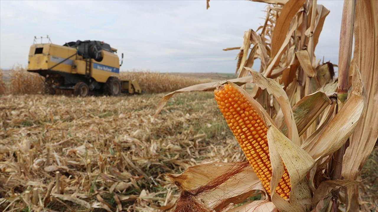 “Mısırda fiyat istikrarı için TMO harekete geçsin”
