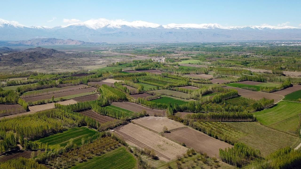 Gökhöyük Tarım İşletmesi’nden meyve bahçesi ve tarım arazisi ihalesi