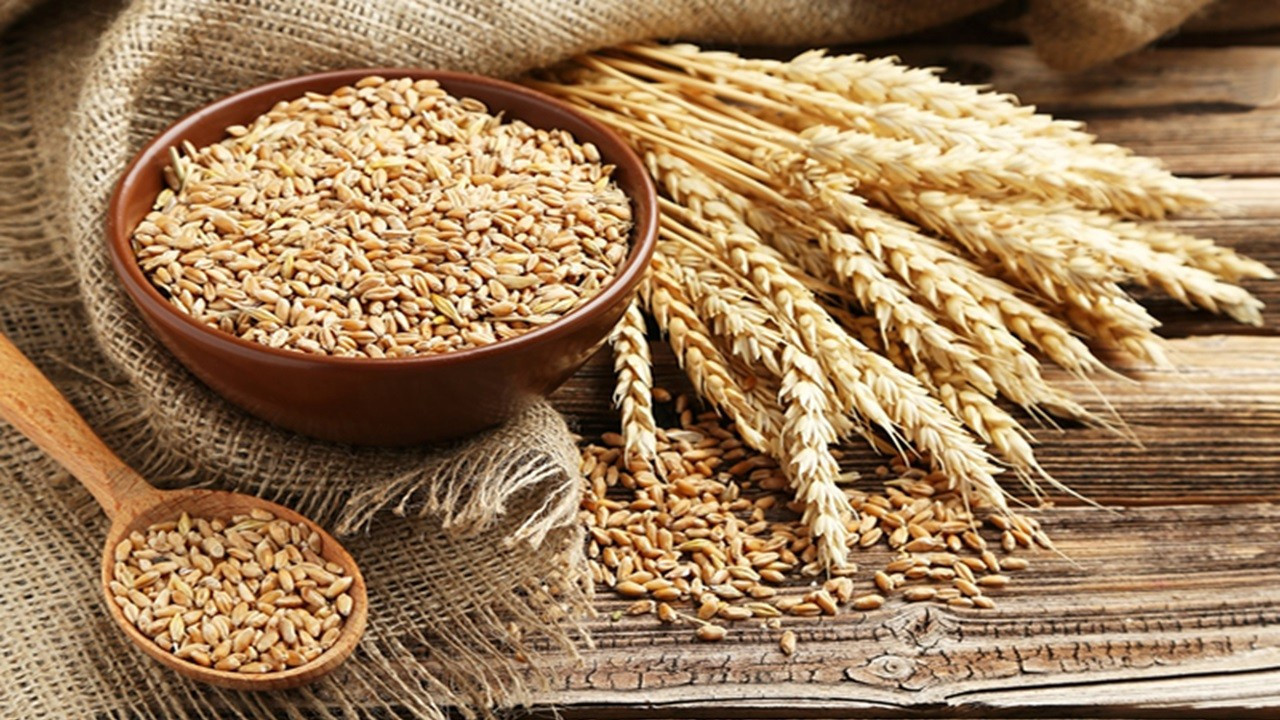 Rusya, buğdayda ihracat vergisini iki katına çıkardı