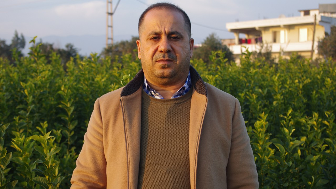 Hataylı narenciye fidancısı altın dönemini yaşıyor