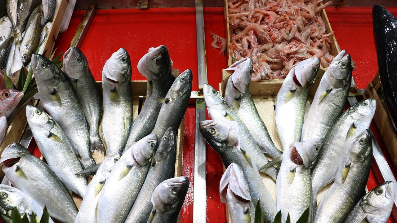 4 balık ve bir midye türü tescillendi