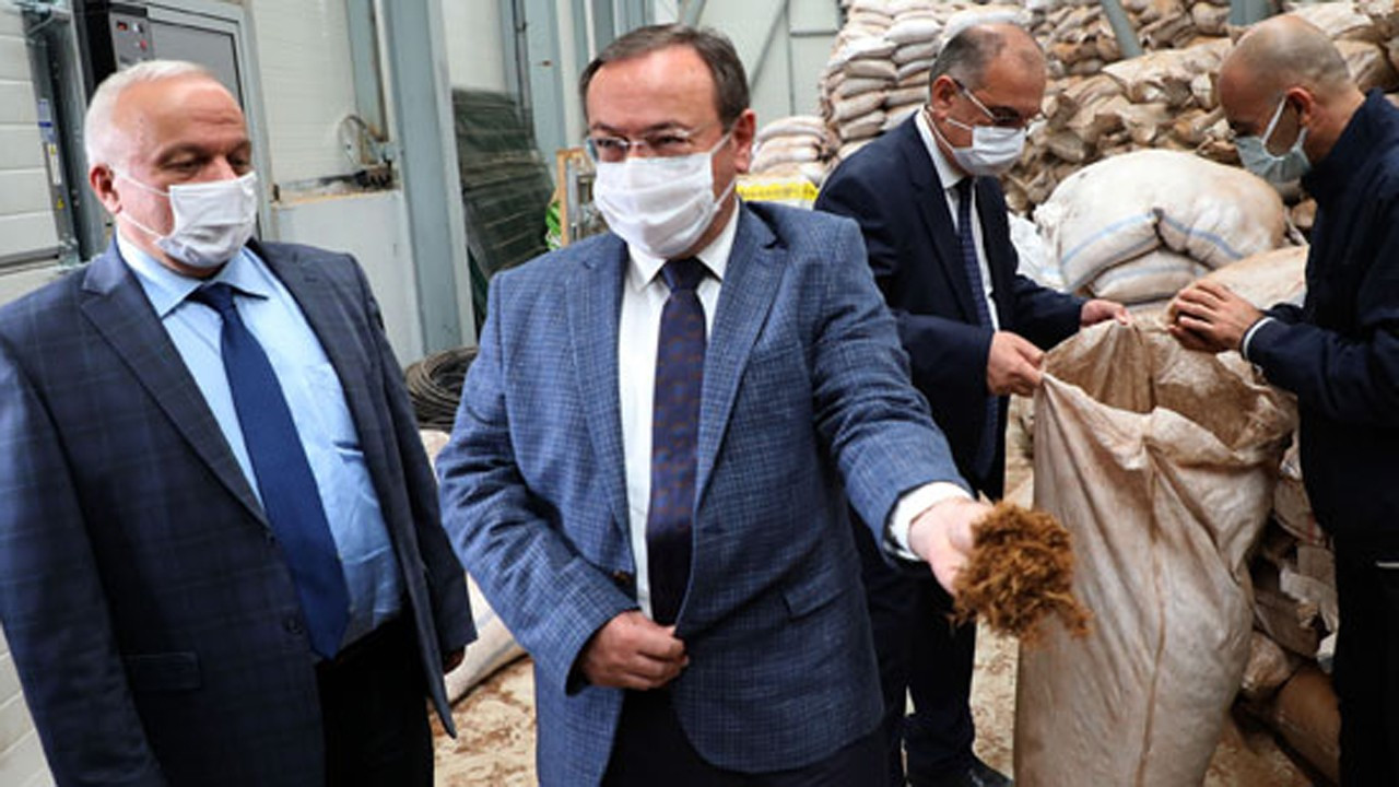 ÇAYKUR, çay lifi ve atıklarını ekonomiye kazandıracak