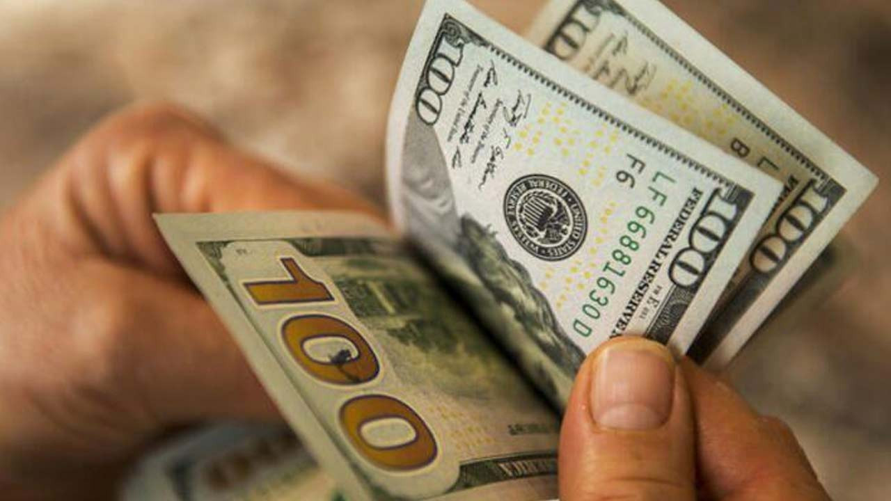 Dolar ve euroda dalgalı seyir