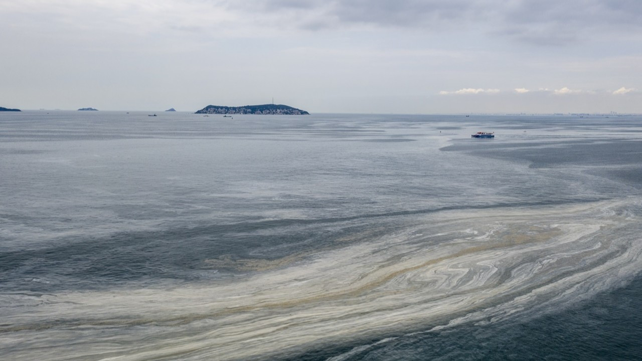 Marmara'da kabus geri döndü: Son bir haftadır arttı