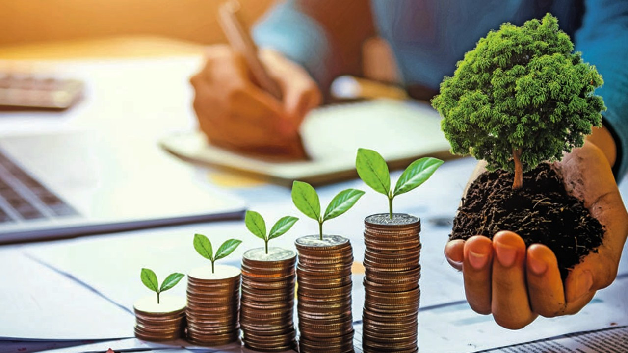 Yeşil ekonomiye geçişte bankalar çok önemli bir itici güç