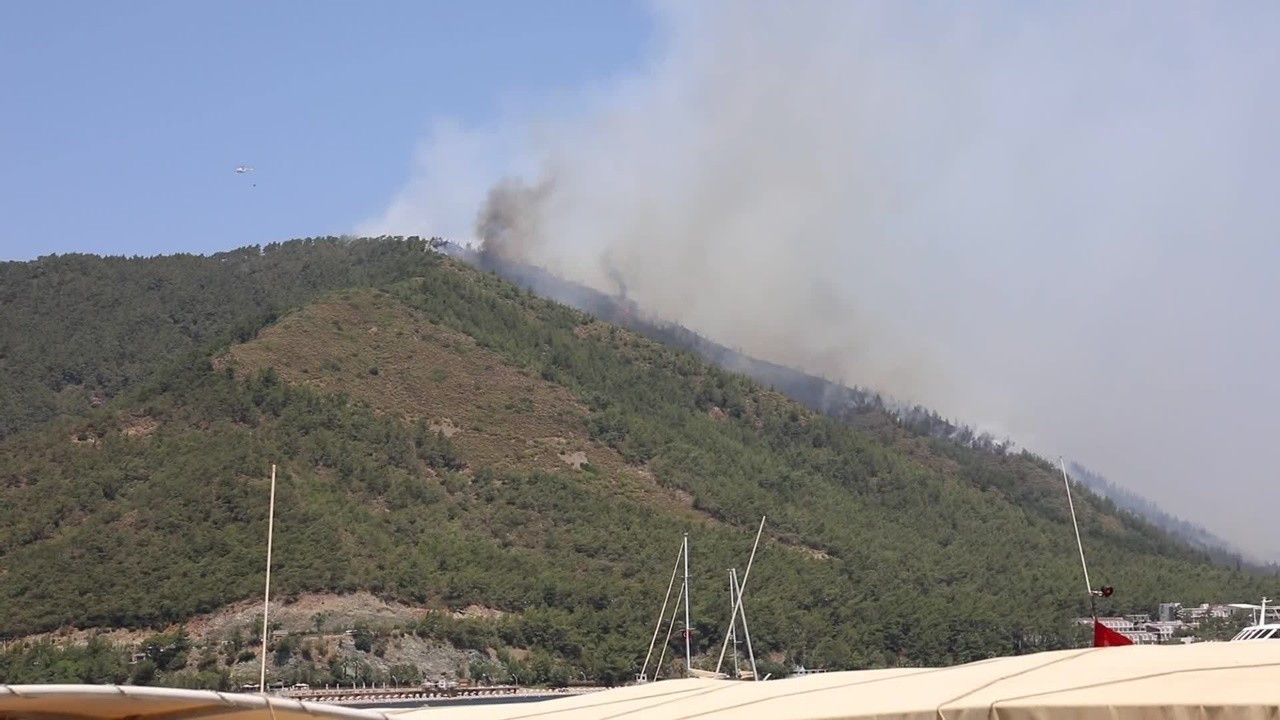 Marmaris'te yanan ormanlık alan yeniden ağaçlandırılacak