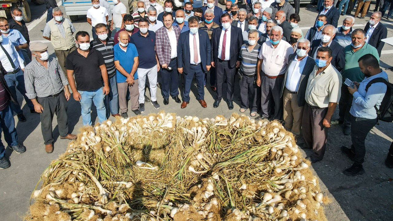 Taşköprü sarımsağına satış yasağı kaldırıldı