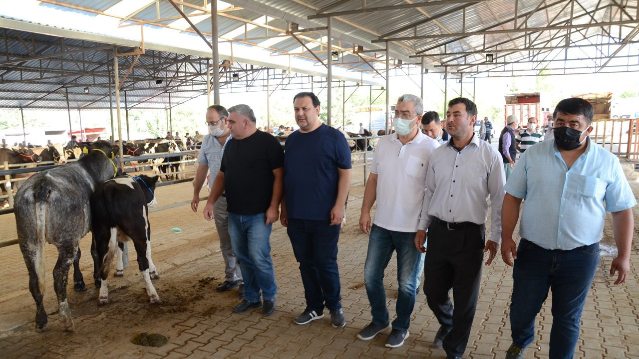 Burdur’da kurbanlıklara talep azaldı