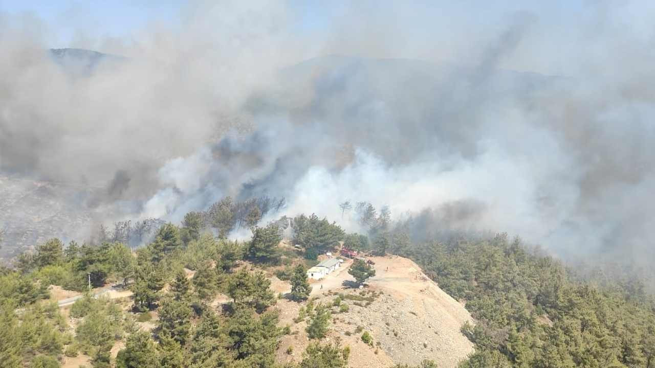 Bodrum ve Milas'ta orman yangını çıktı