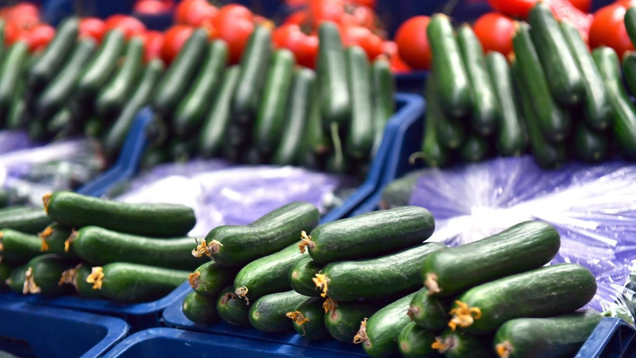 Ağustos ayının zam şampiyonu salatalık oldu