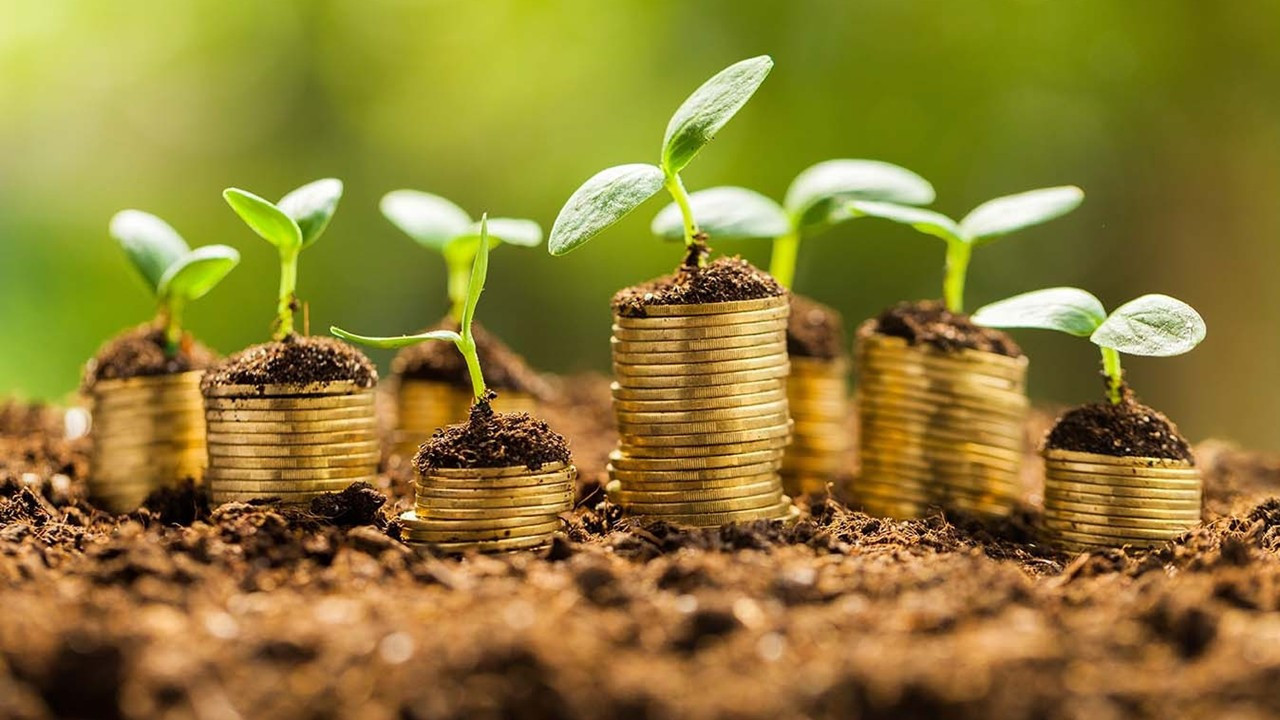 'Yeşil dönüşüm' Orta Vadeli Program'a da girdi