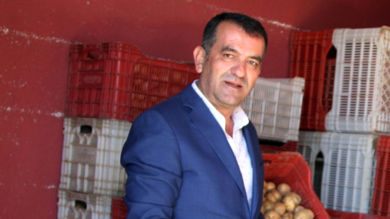 Patateste rekolte yüzde 40 düştü   