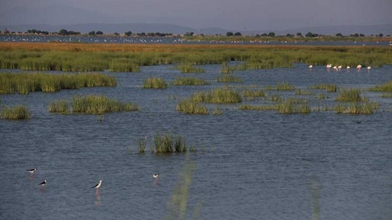 Sulak alanların belirlenmesinde düzenlemeye gidildi