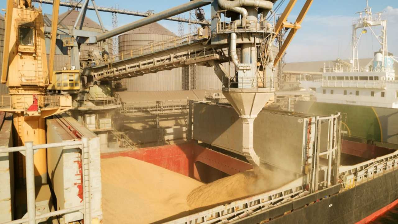 Rusya, tarım savaşında galip geliyor