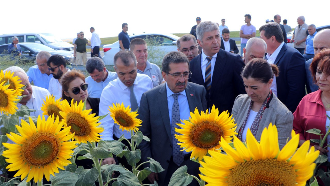 Pakdil: Çayır tırtılı nedeniyle rekolte kaybı olmayacak