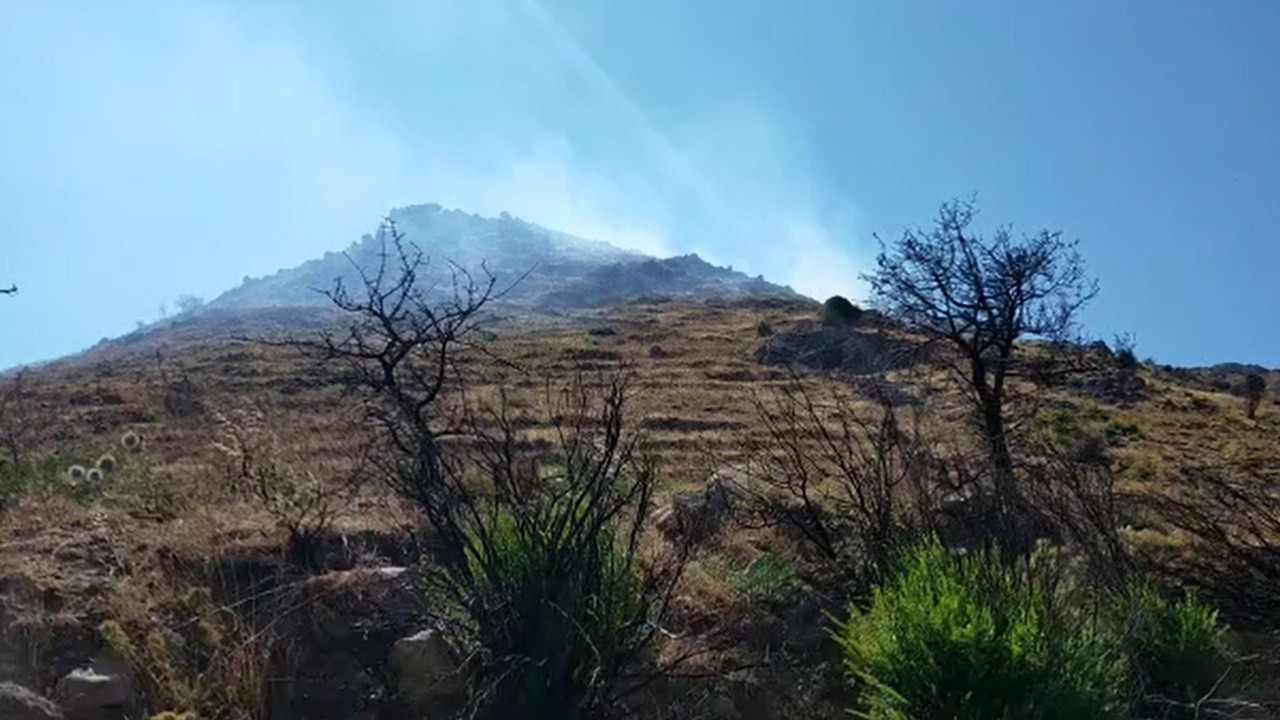 Bodrum'daki yangında 3 hektar alan zarar gördü