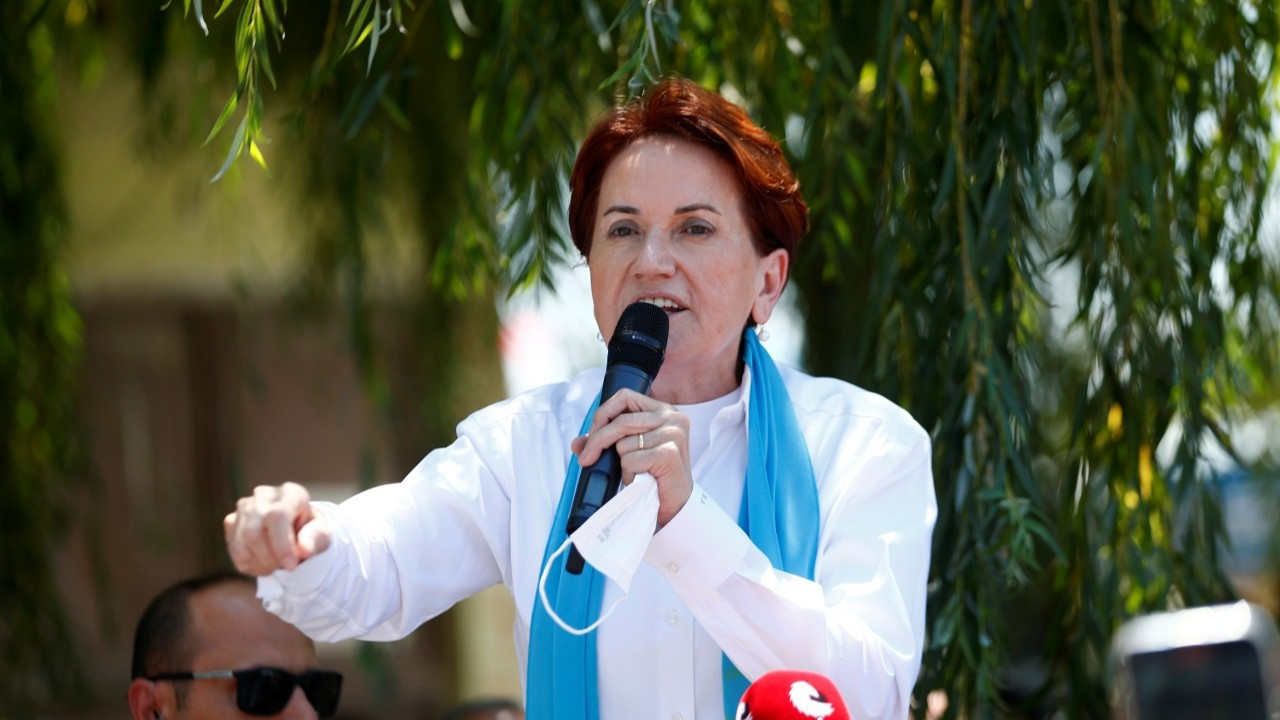 Akşener'i köpek ısırdı