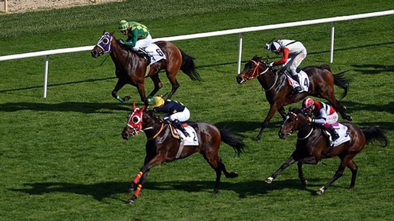 Yarış atı ortaklığı ve seyisbaşlarına ilişkin düzenleme