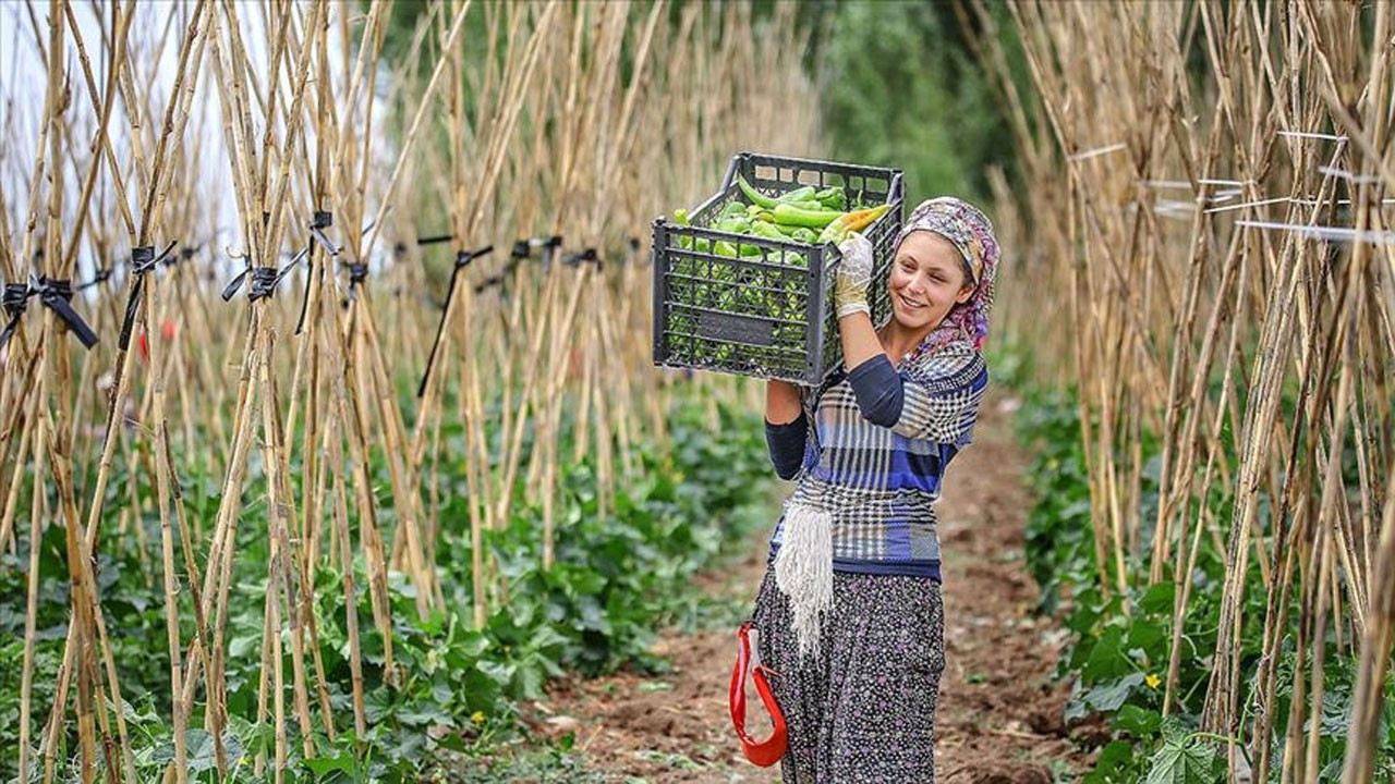Organik tarımda Türkiye’de üretici sayısı 48 bine ulaştı