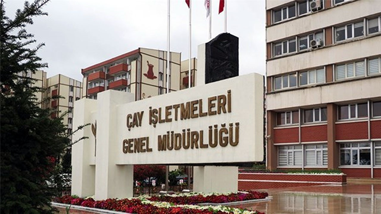ÇAYKUR duyurdu: Mayıs ayı yaş çay ödemeleri başlıyor