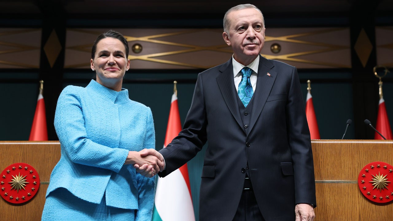 Cumhurbaşkanı Erdoğan: Macaristan'a doğalgaz verilmesi için türlü desteğe hazırız