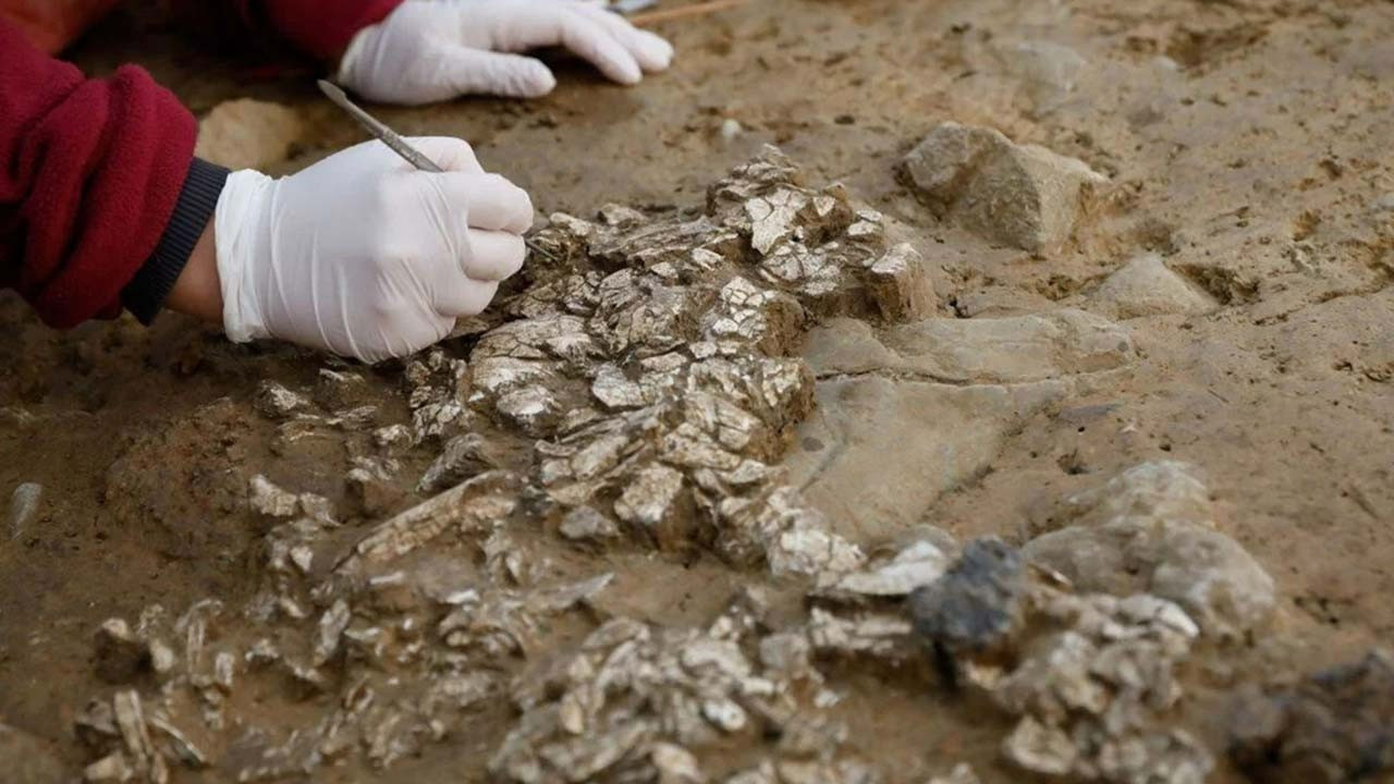 Şanlıurfa'da kazı çalışmalarına 40 milyon TL bütçe ayrıldı