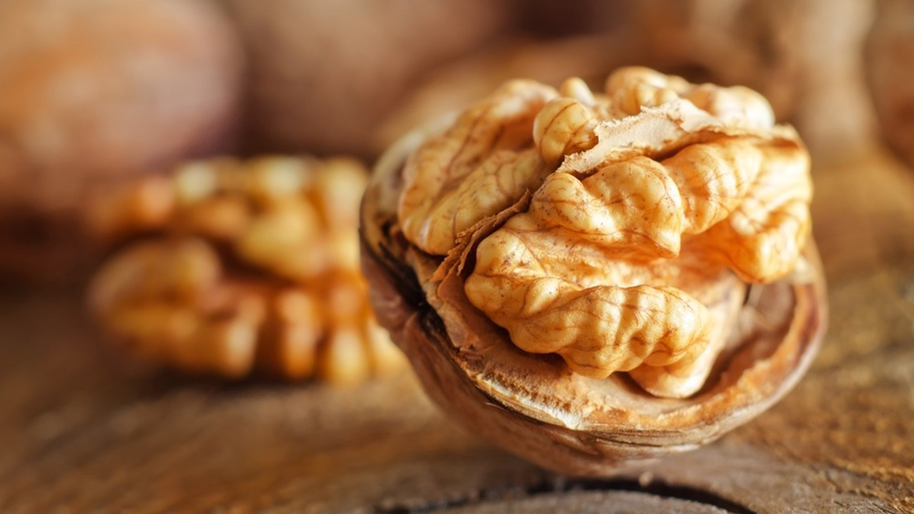 Çağlayancerit cevizi AB tarafından tescillendi