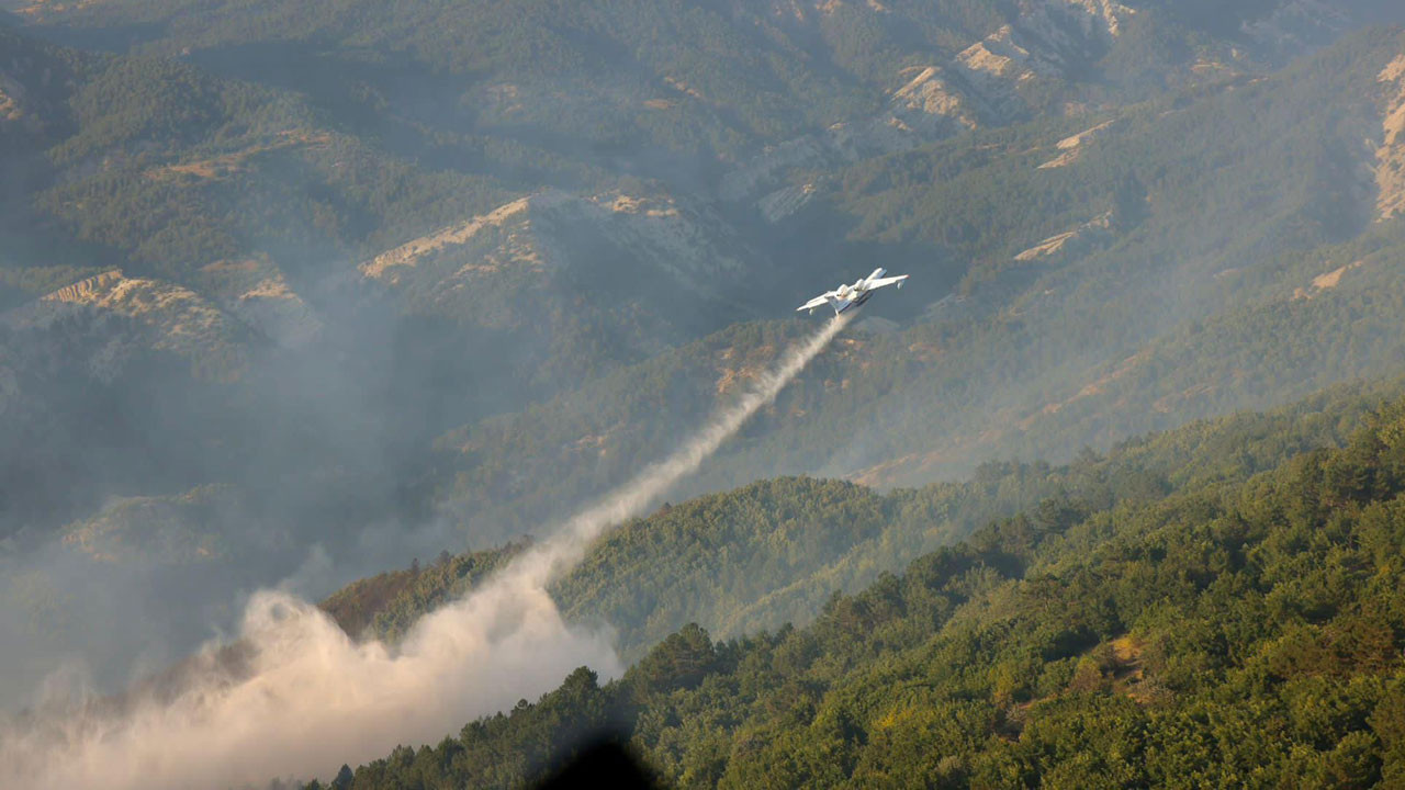 Bilecik'te çıkan orman yangını kontrol altına alındı