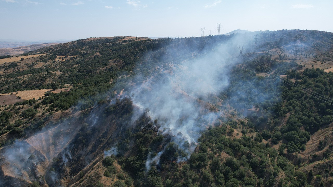 Ankara Çubuk'ta çıkan orman yangını kontrol altına alındı