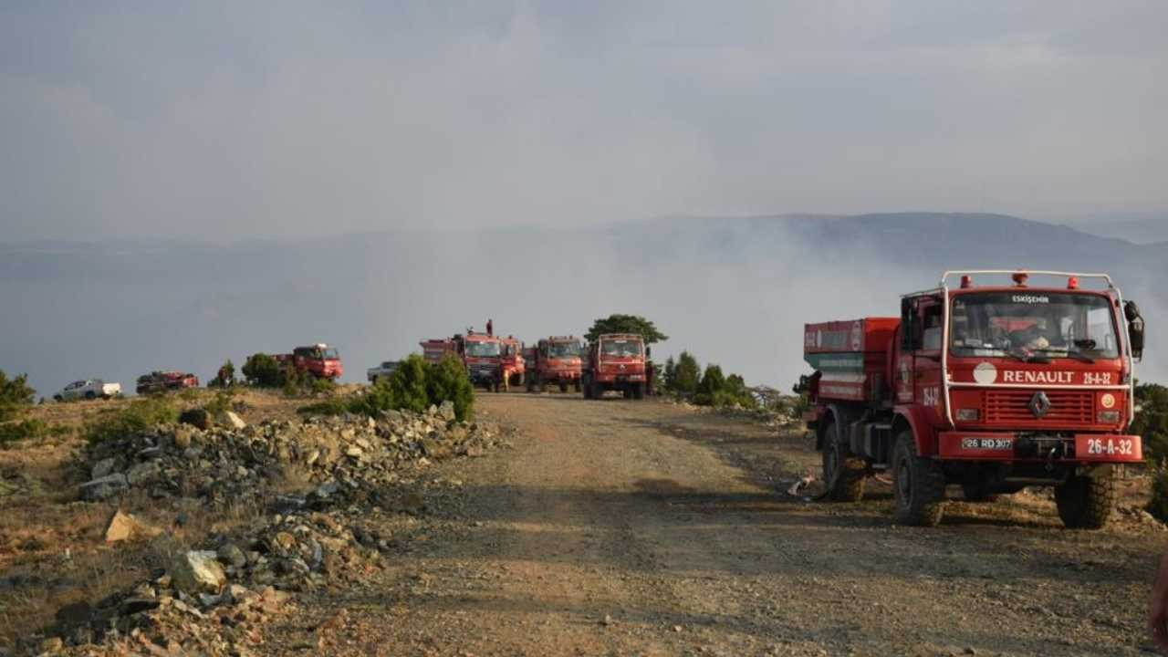 Eskişehir'de orman yangını