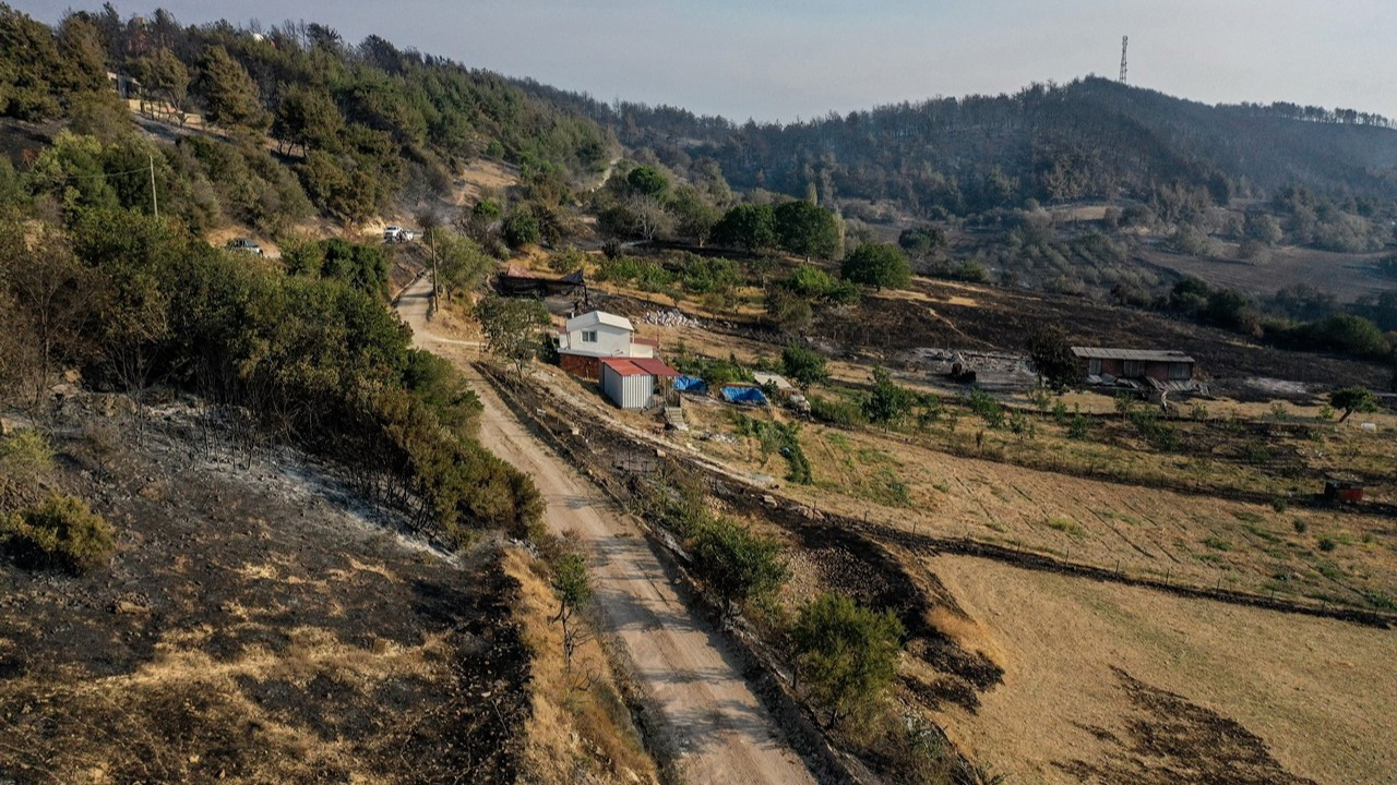 Bakan Koca: Çanakkale'deki yangından 83 kişi etkilendi