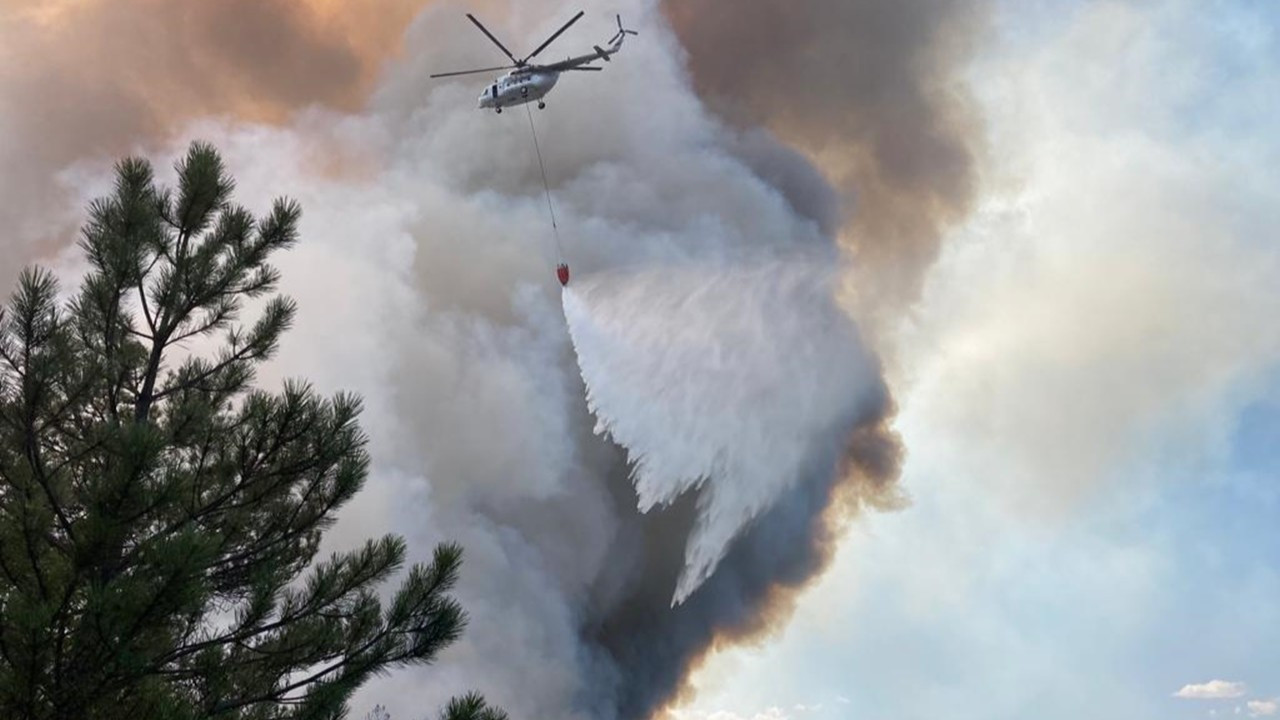 Eskişehir'de orman yangını