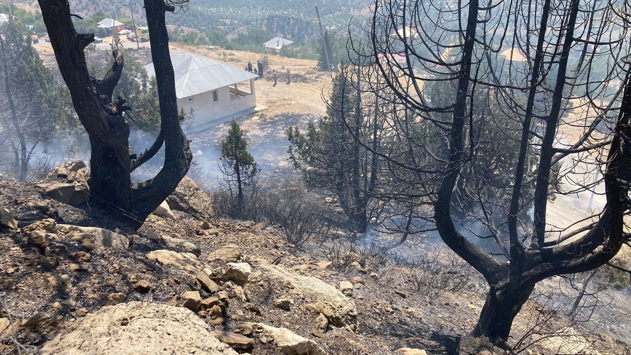 Alanya'da çıkan yangın söndürüldü