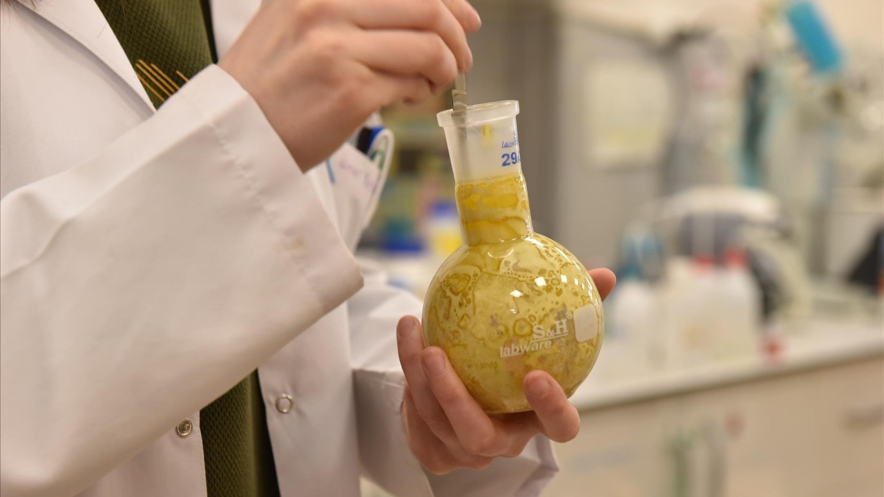Borlu gıda takviyeleri ile osteoporoz önlenecek