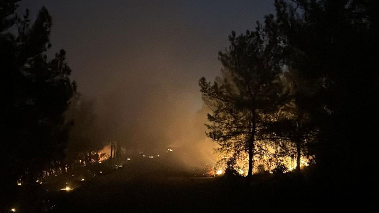 İzmir'deki yangın kontrol altında