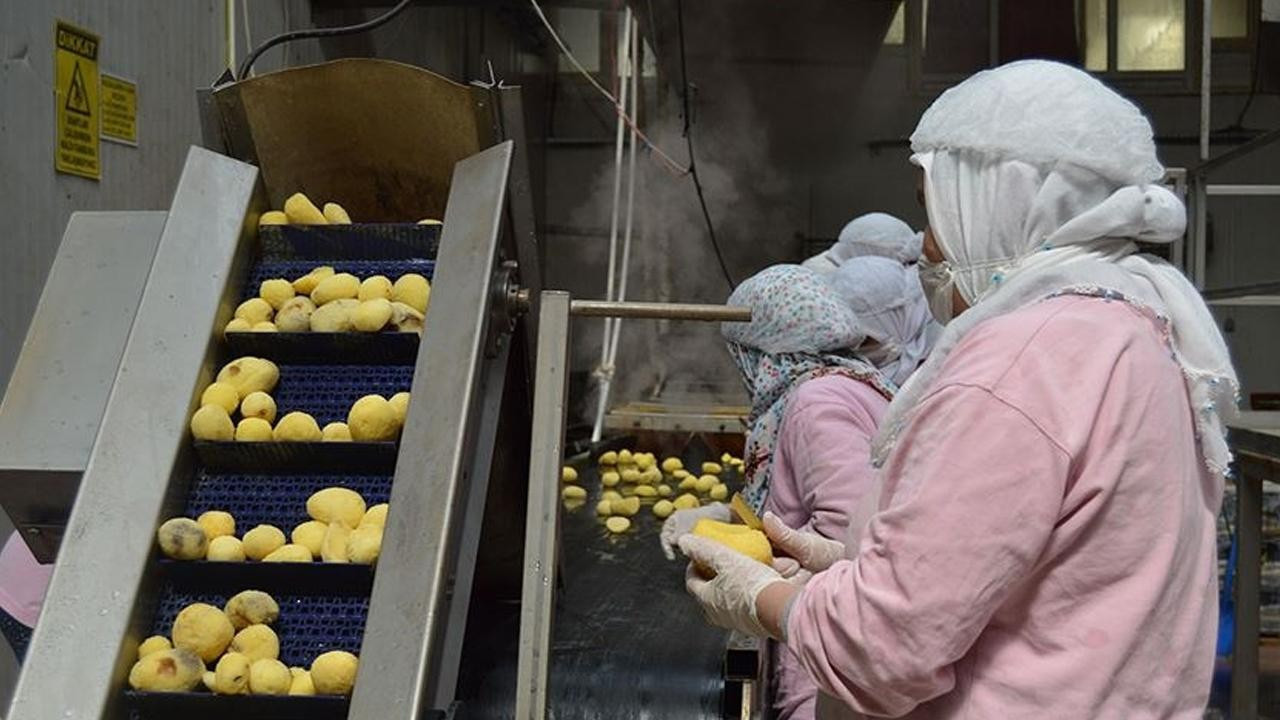 Türkiye'nin 500 büyük şirketinden 94'ü gıda sektöründen