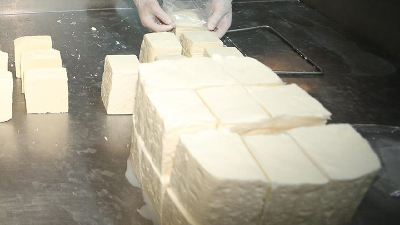 Ezine Peyniri, AB’den tescilli ilk Türk peyniri oldu