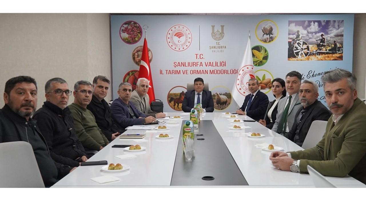 Urfa pamuğunun kontaminasyon sorunu makine modernizasyonu ile çözülecek