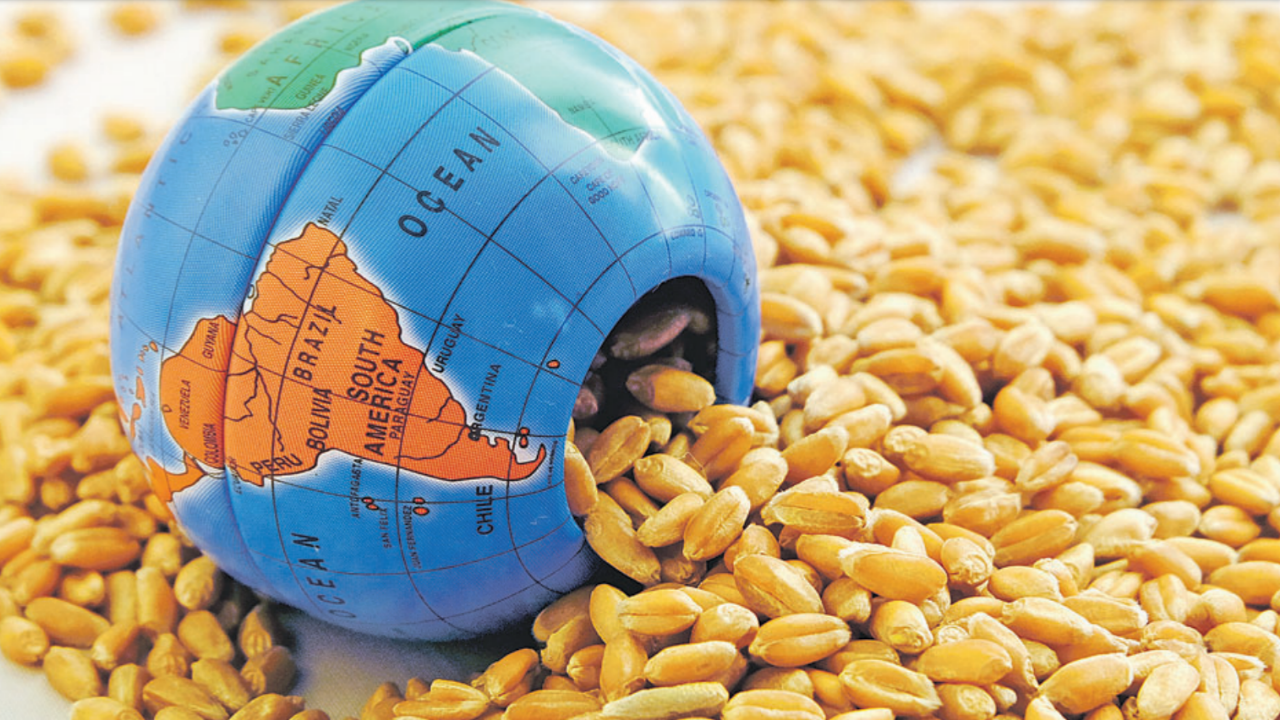 Küresel tarım piyasalarında ‘bereketli yıl’ beklentisi