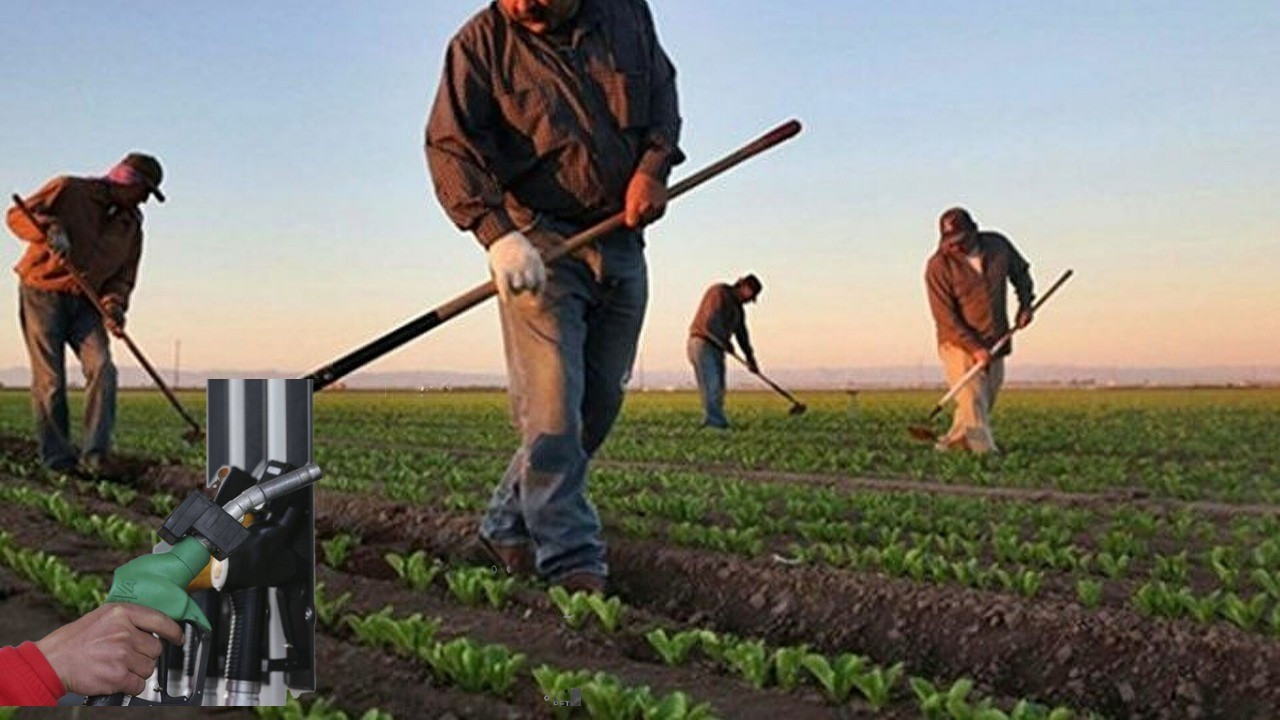 'TARSİM, çiftçiyi ve sigorta üretim kanallarını mağdur ediyor'