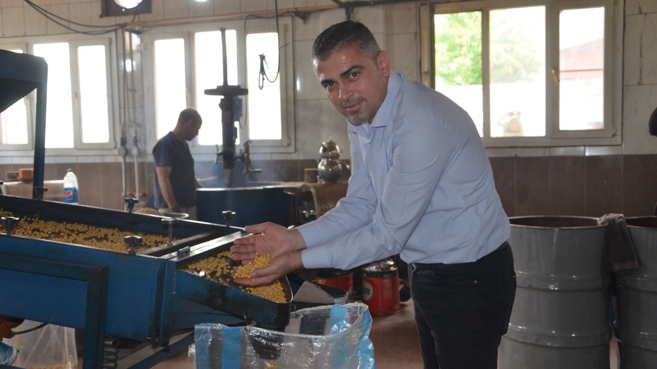 Leblebinin başkentine ikinci üretim üssü