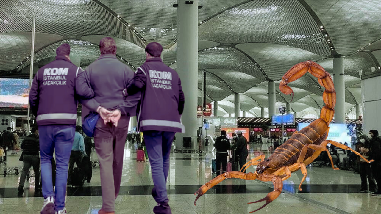 Yüzlerce tarantula ve akrebi kaçırmak istemişti: ABD'li müze müdürü hakkında karar verildi