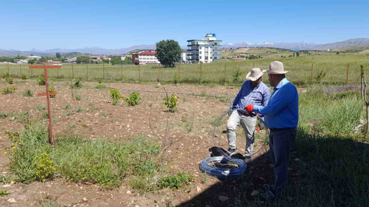 Kulp ilçesinde, örtü altı üzüm yetiştirilecek