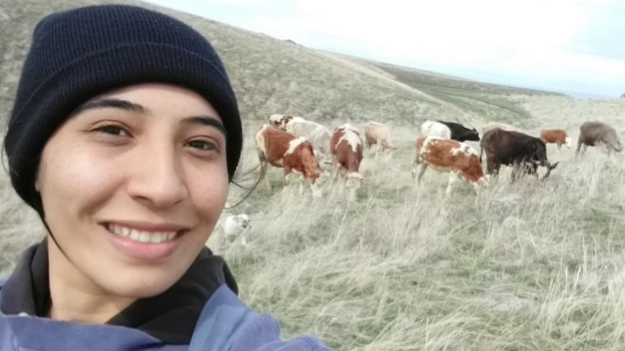 100 bin hibe aldı süt inekçiliğine başladı, şimdi kadın kooperatifi kurmak için kolları sıvadı